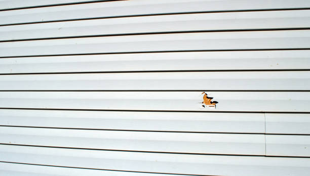 Custom Trim and Detailing for Siding in Fort Benton, MT